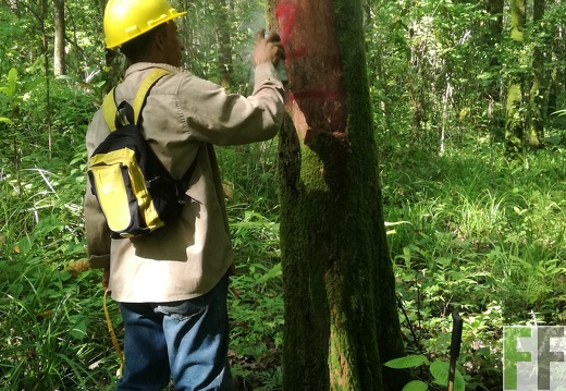 Finca Los Rios I 2018