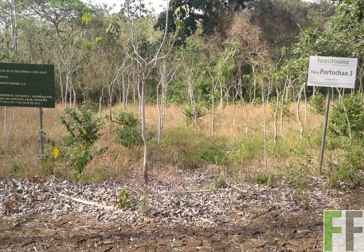 Finca Porto Chao III 2018