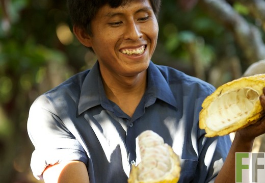 Finca Sisa, Peru: Menschen bei der Arbeit (2013)