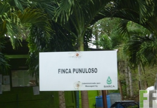 Finca Eingang 2014