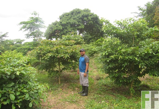 Mitarbeiter im Wald 2016