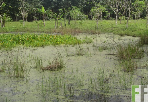 La Relojera V, Dezember 2016