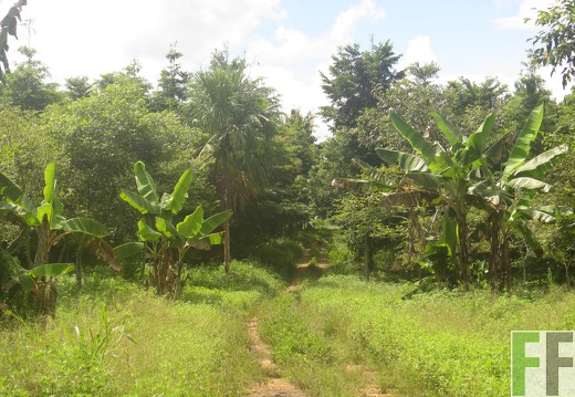 La Relojera V, Dezember 2016