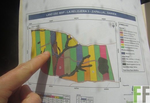 La Relojera III, Dezember 2016