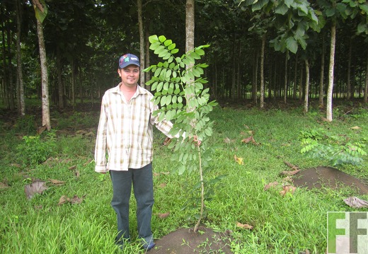 La Relojera III, Dezember 2016