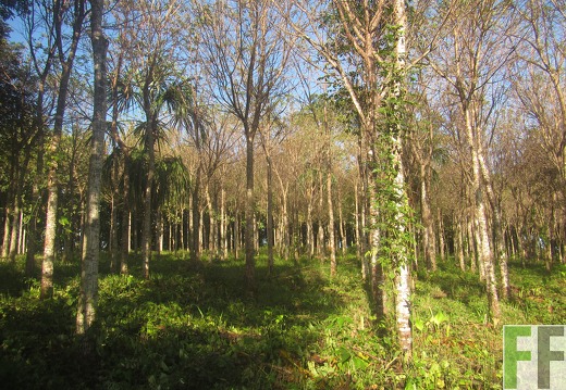 Ojo de Agua II, Dezember 2016