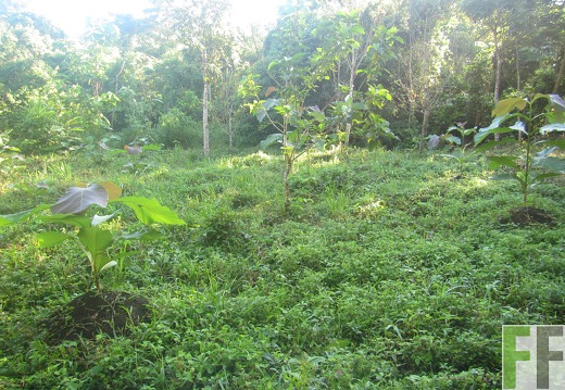 Ojo de Agua II, Dezember 2016