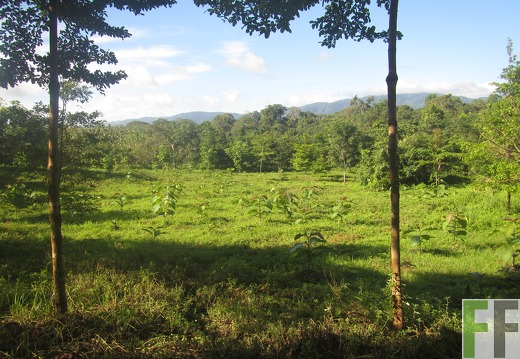 Ojo de Agua III, Dezember 2016