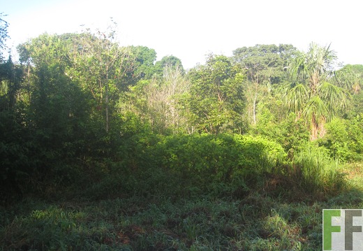 Metetí  II, Dezember 2016