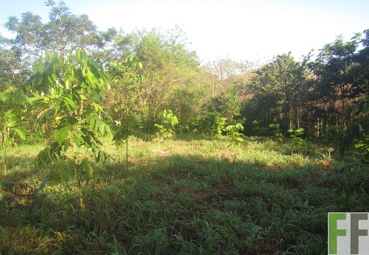 Metetí  II, Dezember 2016