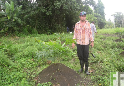 Cleopatra I, Dezember 2016