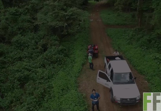 Finca Punuloso von oben