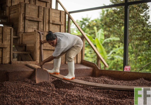 Kakao Nacherntestation