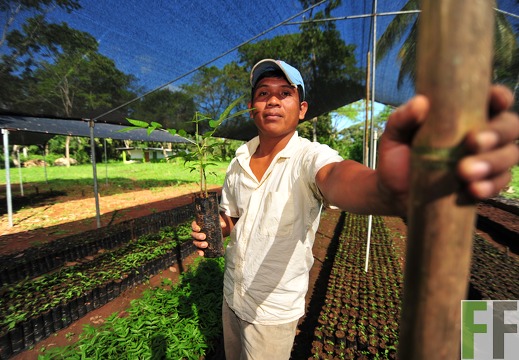 Baumschule Mitabeiter