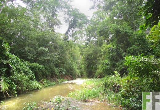 Metetí I, Juni 2015