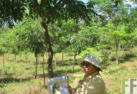 Finca Sansoncito 2016