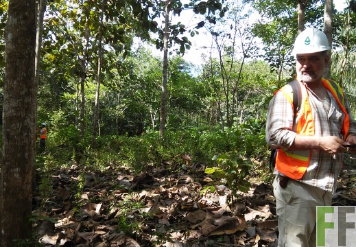 Finca Metetí II 2015