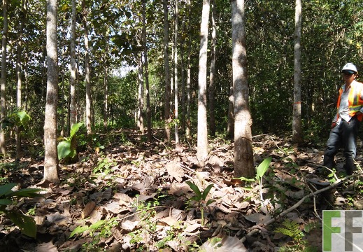 Finca Metetí II 2015