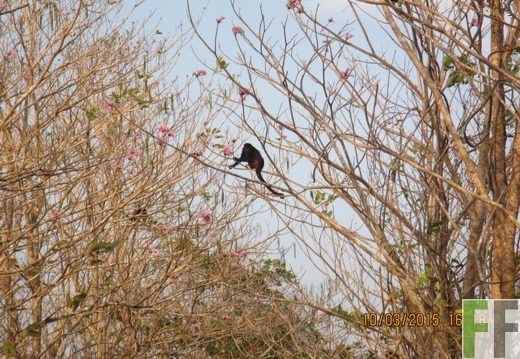 Finca Porto Chao III 2015