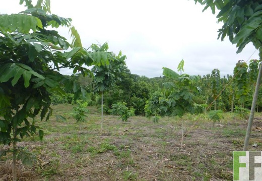 Finca Porto Chao I 2014