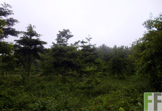 Finca La Relojera III 2014