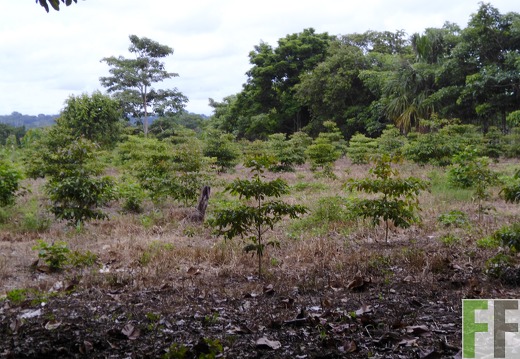 Finca Porto Chao III 2014