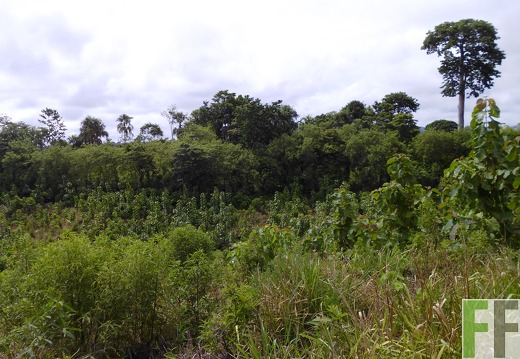 Finca Porto Chao II 2014