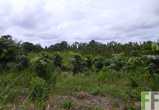 Finca Porto Chao I 2014