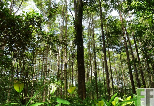 Finca Santa Cruz I 2014