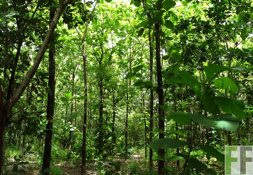 Finca Santa Cruz I 2014