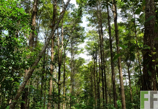 Finca Santa Cruz I 2014