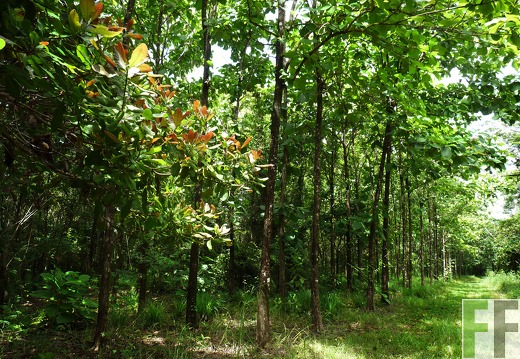 Finca Santa Cruz I 2014