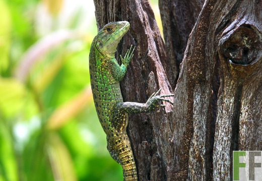 Finca Santa Cruz I 2014