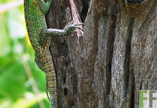 Finca Santa Cruz I 2014