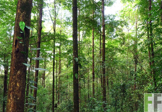 Finca La Luna II 2014