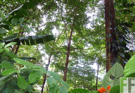 Finca La Luna II 2014