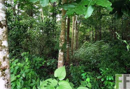 Finca La Luna II 2014