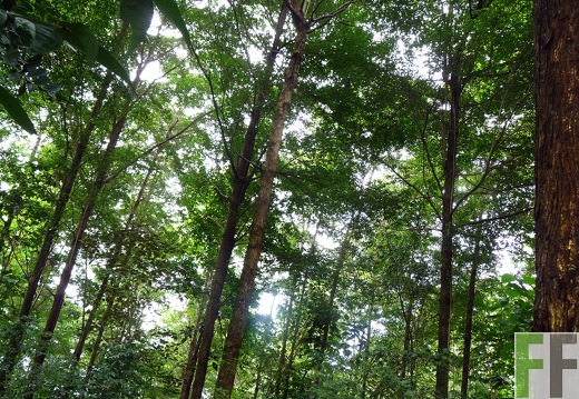 Finca La Luna II 2014