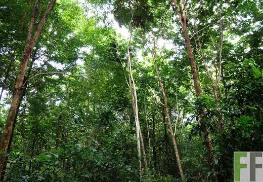 Finca La Luna II 2014