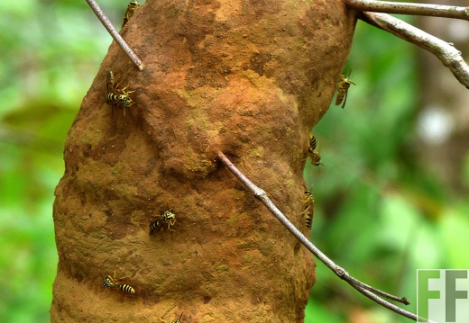 Finca El Espejo 2014