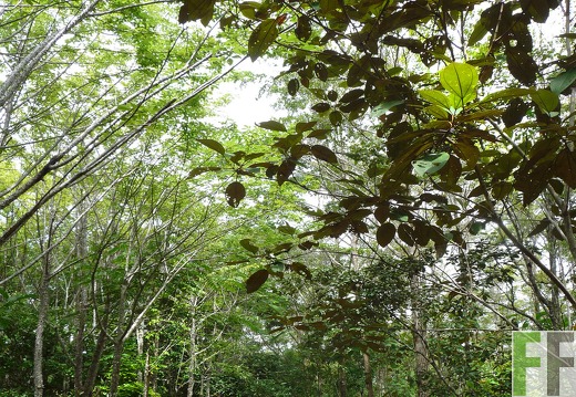 Finca El Espejo 2014