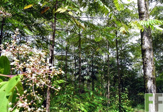 Finca El Espejo 2014