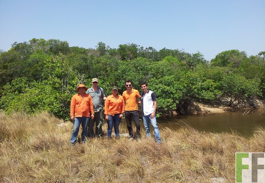 Román Jaramillo Acevedo, Oliver Ristau, Luisa Fernanda Azabache Medina, Christian Streubel, Federico Córdoba Jaramillo