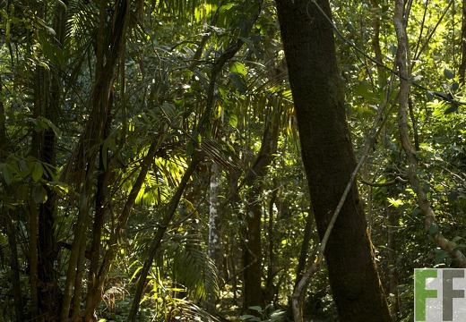 Finca Los Monos 2013