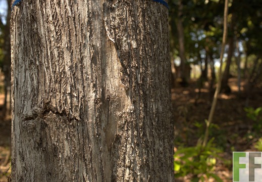 Finca Madera Fina 2013