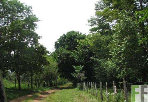 Finca Los Aromos 2012