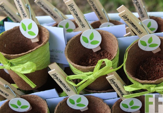 Eröffnung FinalForest 17.052014