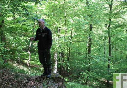 Peter Wohlleben im FinalForest