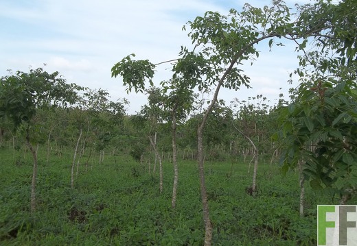Playa Chuzo, Mai 2014