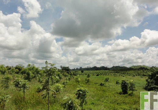Playa Chuzo, Okt. 2011
